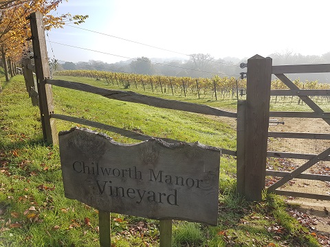 Chilworth Manor Vineyard