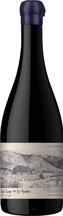 2019 UN LUGAR EN LOS ANDES PINOT NOIR Tunuyán Zuccardi, Lea & Sandeman