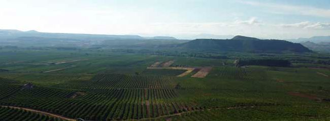 Bodegas Ruconia