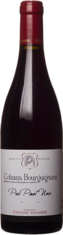 2021 COTEAUX BOURGUIGNONS Pur Pinot Noir Domaine Stéphane Magnien