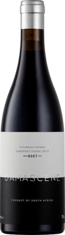 2021 DAMASCENE Cabernet Franc Stellenbosch