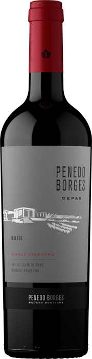2021 MALBEC Cepas Penedo Borges, Lea & Sandeman