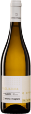2024 PAGLIATURA Vermentino Toscana Fattoria di Magliano, Lea & Sandeman