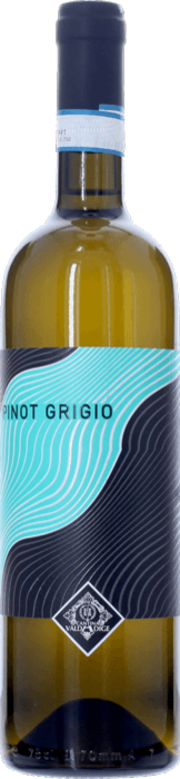 2024 PINOT GRIGIO Delle Venezie Cantina Valdadige, Lea & Sandeman