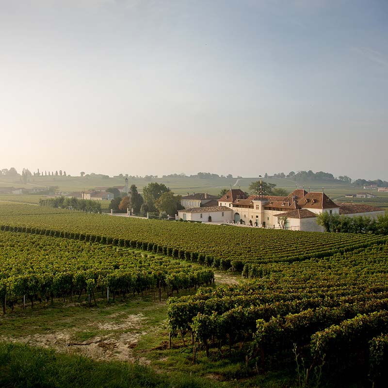 Château Angélus