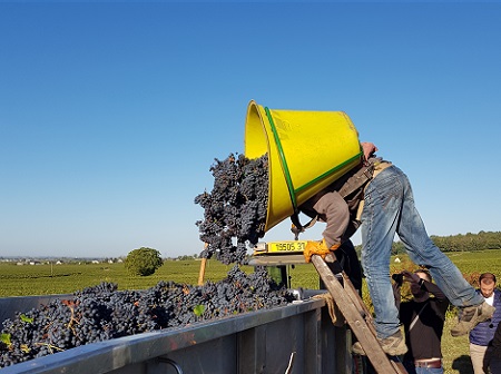 Domaine Yannick Amirault