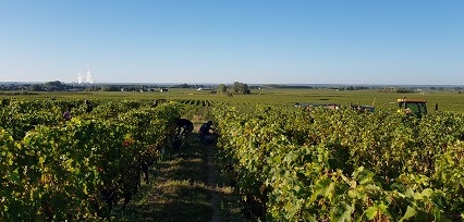 Domaine Yannick Amirault