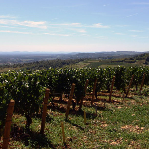 Domaine François Lumpp