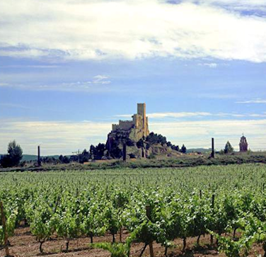 Bodegas-Piqueras