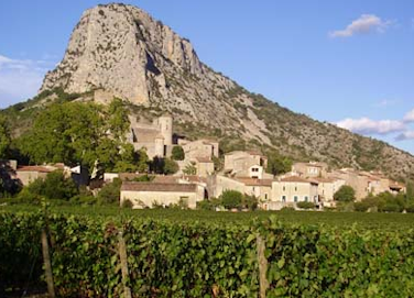 Domaine-de-l'Hortus
