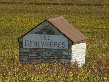 Domaine-Rémi-Jobard