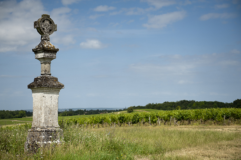 Château Potensac
