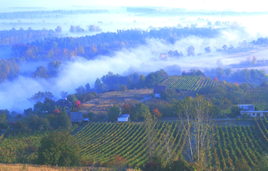 Royal-Tokaji-Wine-Company