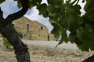 Domaine-Viret