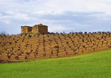 Bodegas-Lopez-Cristobal