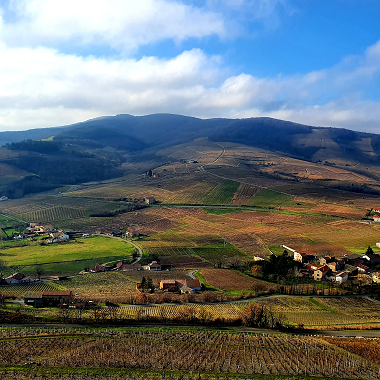 Looking-at-Mont-Brouilly-from-the-North