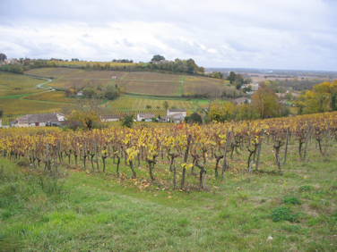 Château-La-Hase