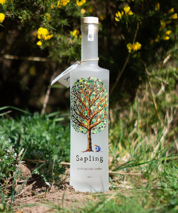 Sapling