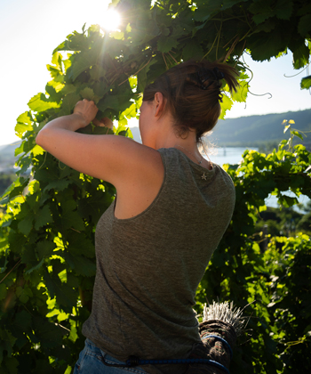 Domaine Graeme & Julie Bott