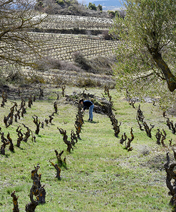 Sierra de Toloño