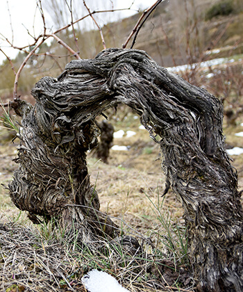 Sierra de Toloño