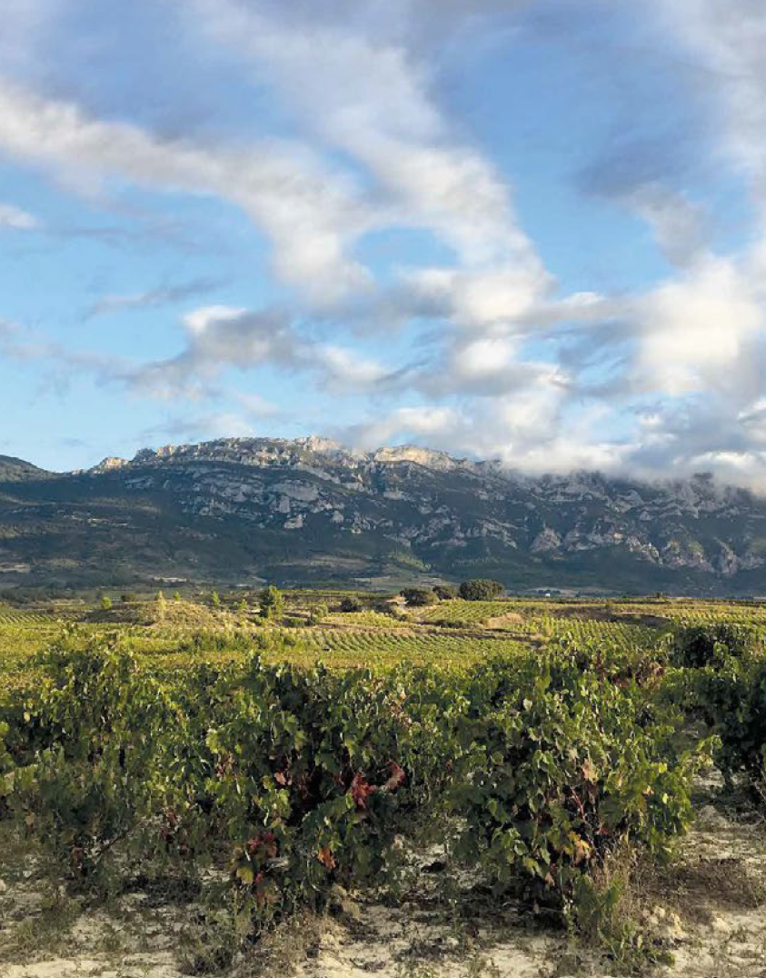 Sierra de Toloño