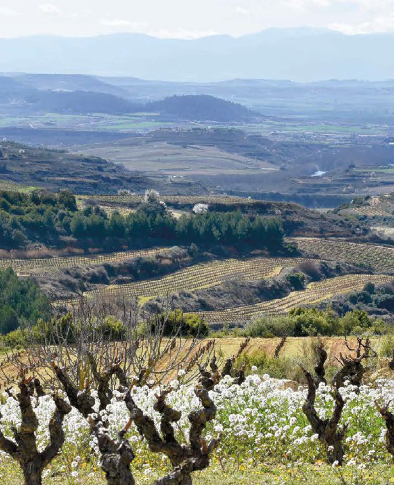 Sierra de Toloño