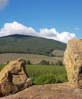 Tenuta Monteti