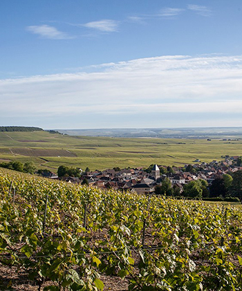 Champagne Franck Bonville