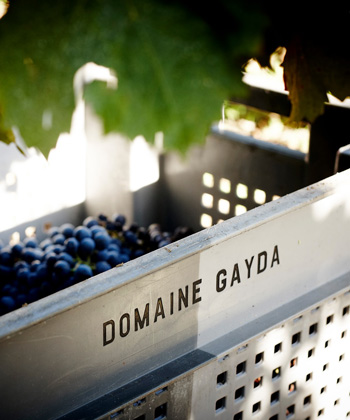 Domaine Gayda 