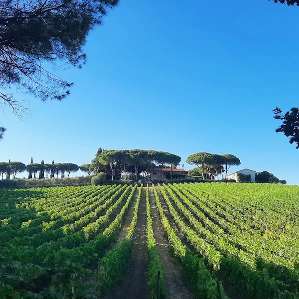 Fattoria di Magliano