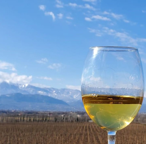 Labara Winery