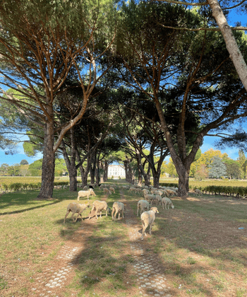 Château de La Dauphine