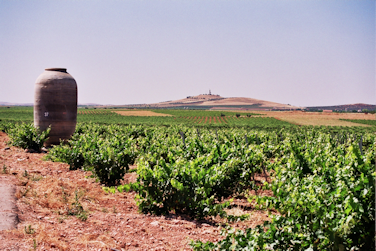 Bodegas-Navarro-Lopez