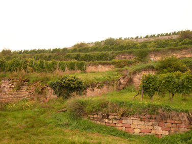 Winzerverein-Ruppertsberg