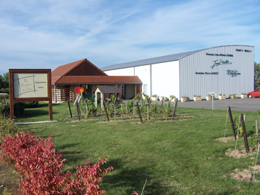 Domaine-Jean-Michel-Sorbe