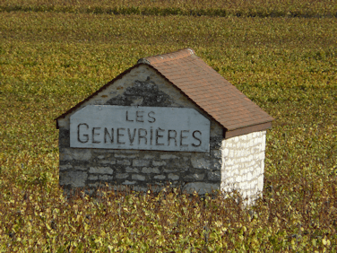 Domaine Rémi Jobard