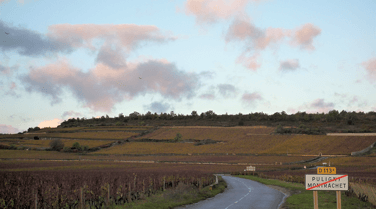 Domaine Jean-Marc Boillot