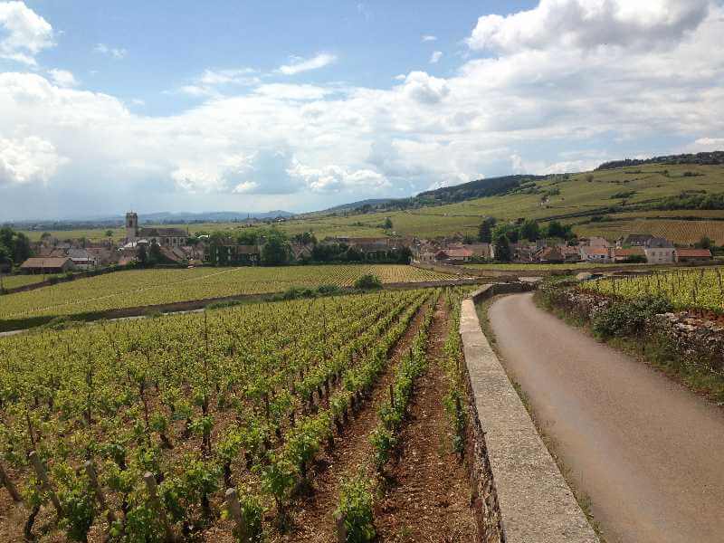 Domaine Fernand & Laurent Pillot