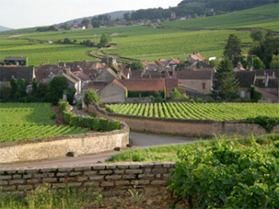 Domaine de Courcel