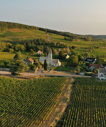 Domaine Derey Frères