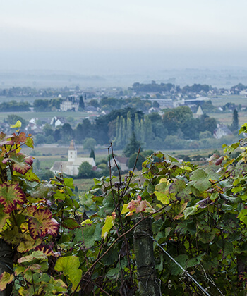 Domaine Derey Frères