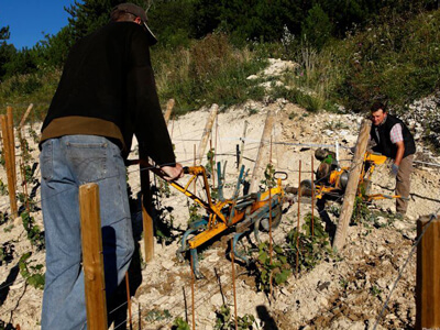 Domaine Hubert Lamy