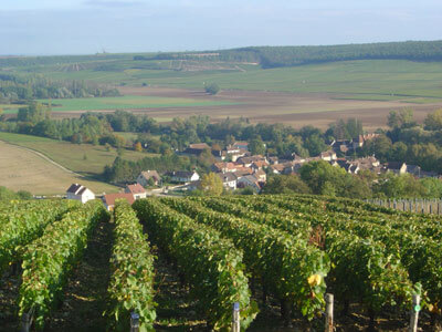 Domaine Denis Pommier