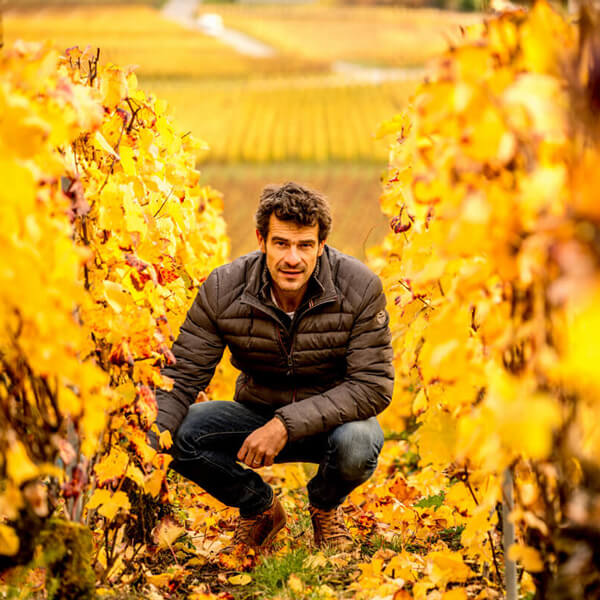 Champagne Nicolas Maillart