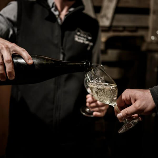 Domaine des Hauts Perrays