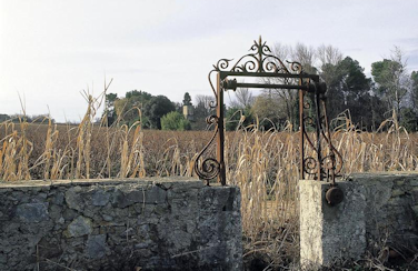 Domaine-Sainte-Eugénie