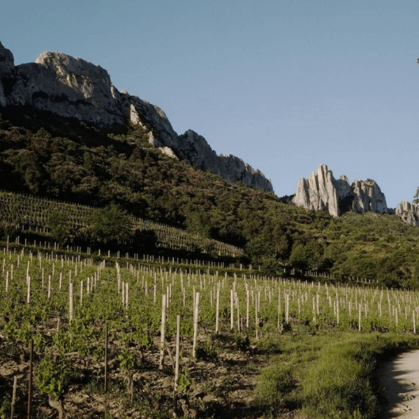 Domaine la Bouïssière
