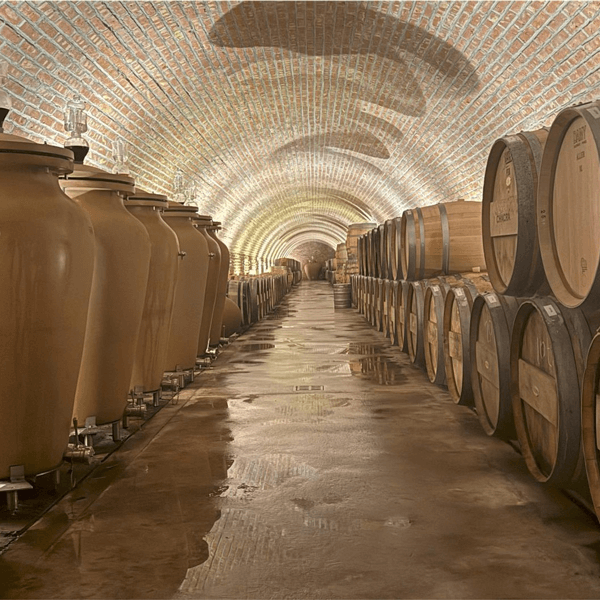 Bodega Chacra