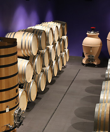 Podere Giodo di Carlo Ferrini